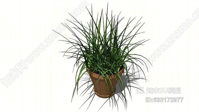 盆栽植物SU模型下载【ID:635172977】