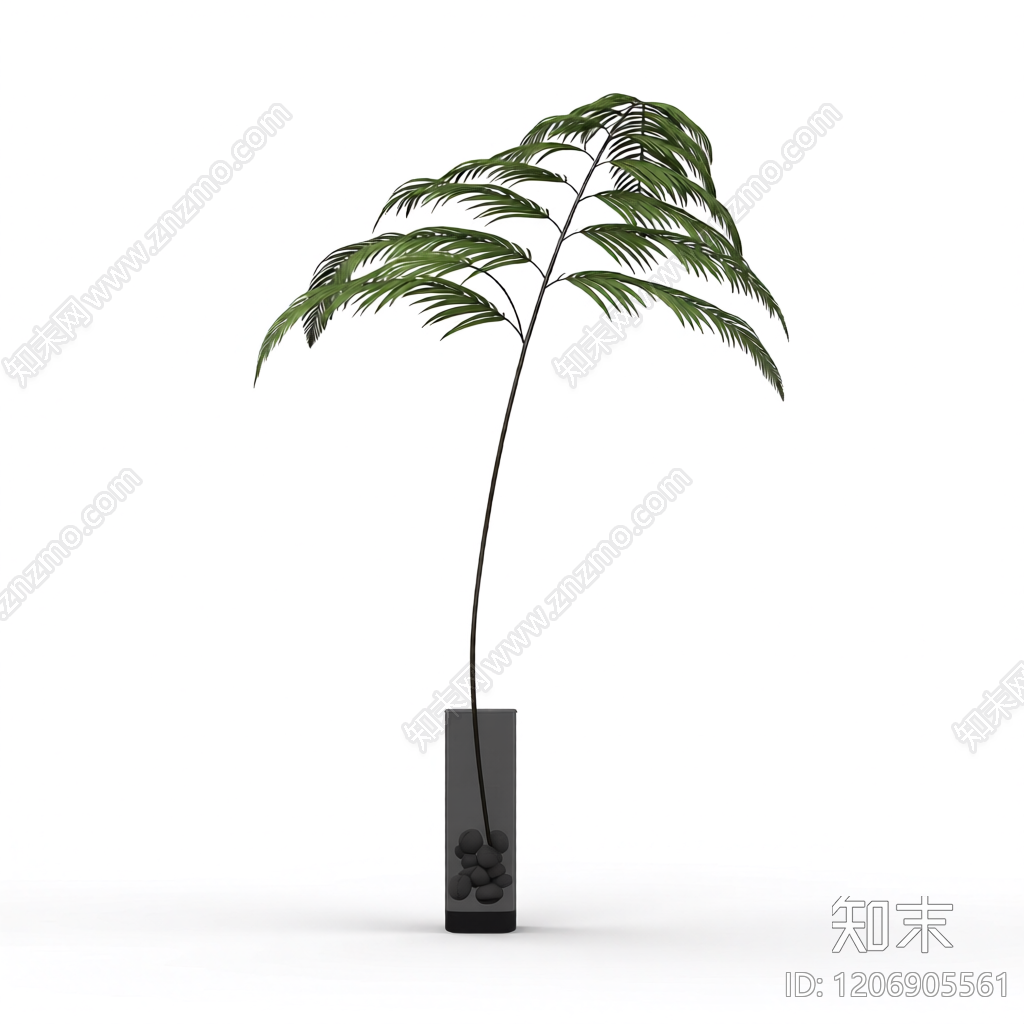 盆栽蕨类植物3D模型下载【ID:1206905561】