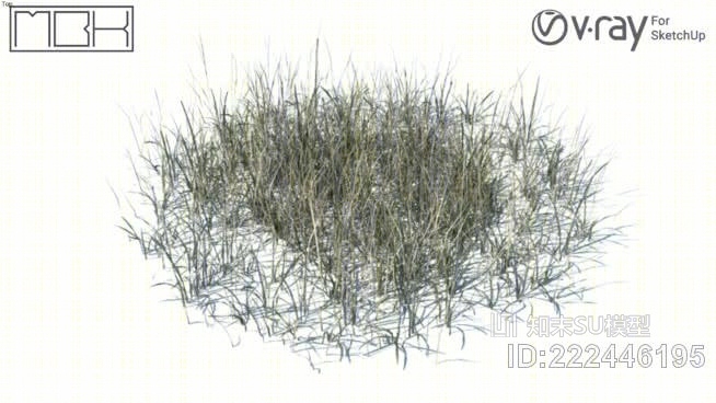 草，高聚合，VRY准备（038）SU模型下载【ID:222446195】