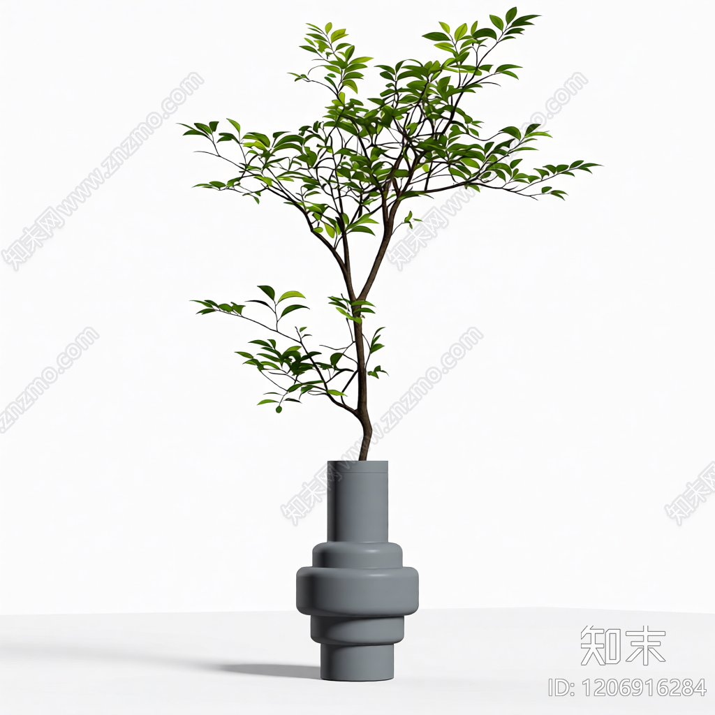 盆栽植物组合3D模型下载【ID:1206916284】