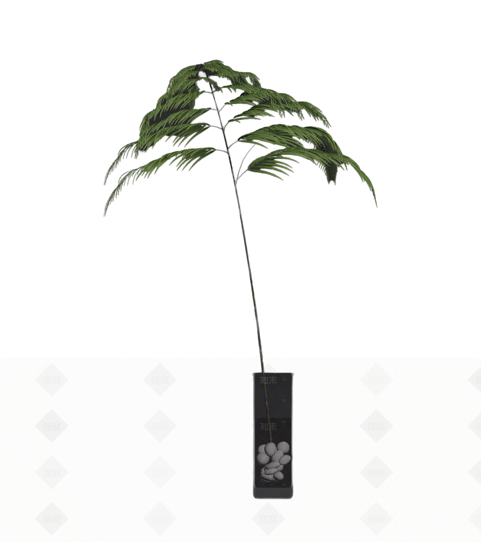 带盆蕨类植物盆栽3D模型下载【ID:1206195732】