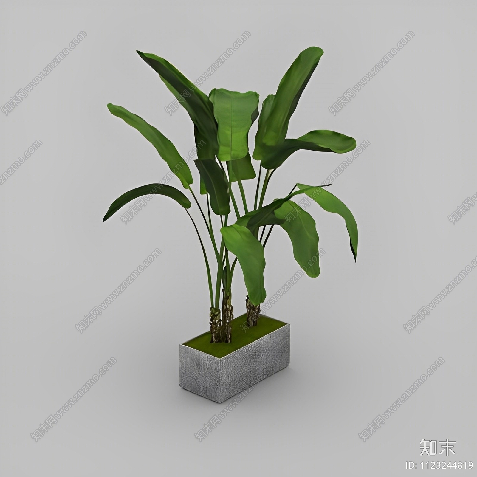 绿植盆栽免费3D模型下载【ID:1123244819】