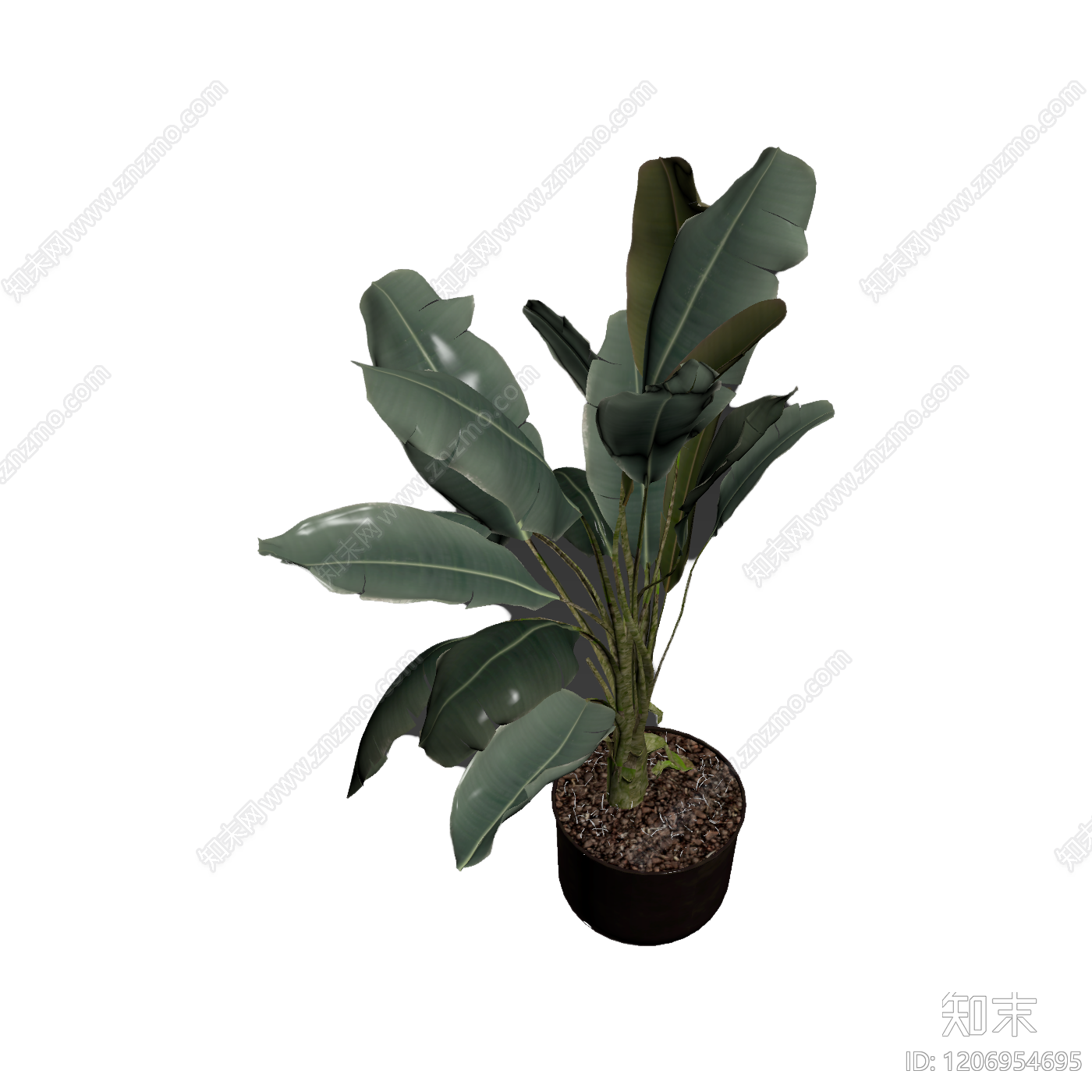 盆栽植物带花盆3D模型下载【ID:1206954695】