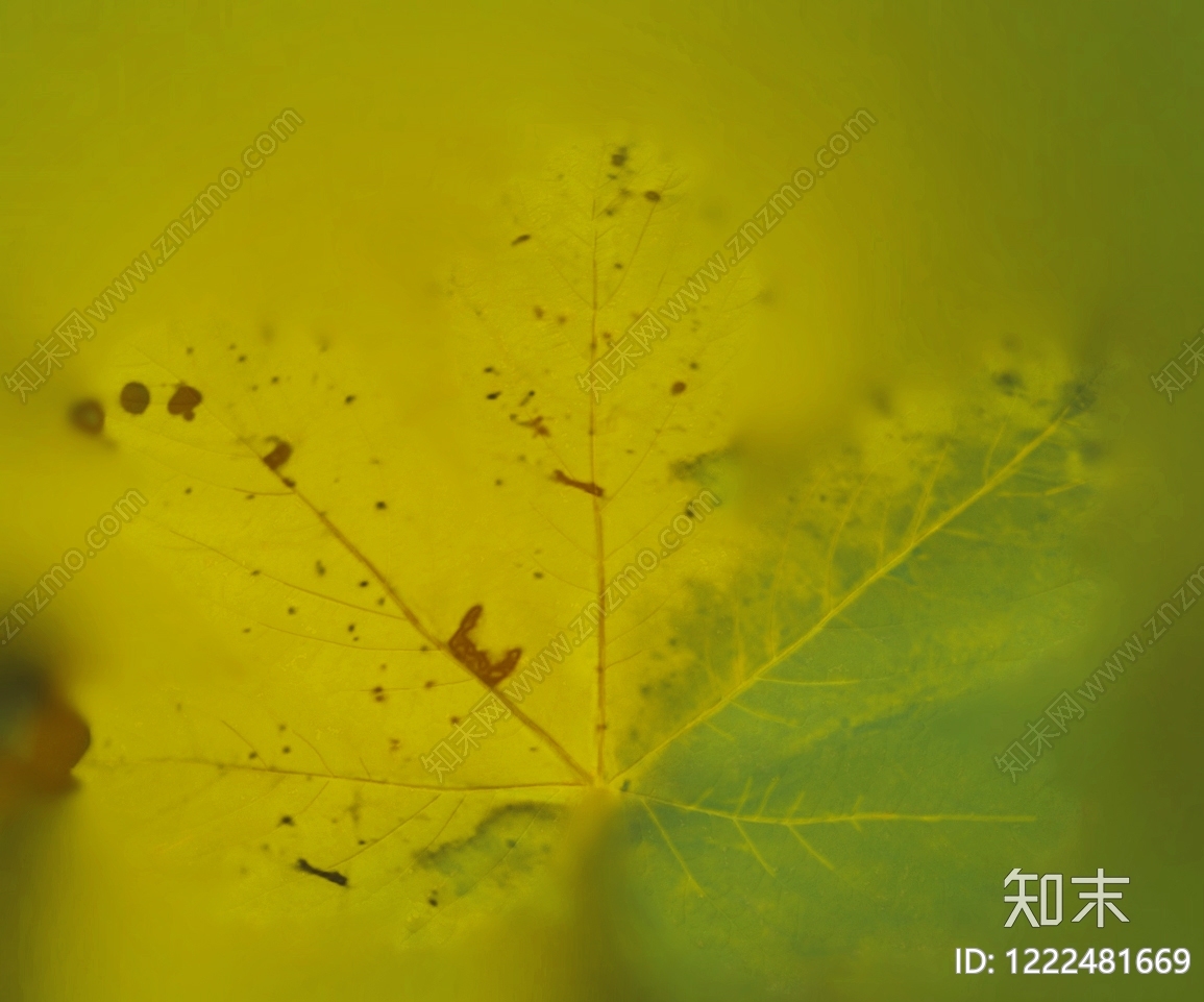 线条纹理高清贴图材质