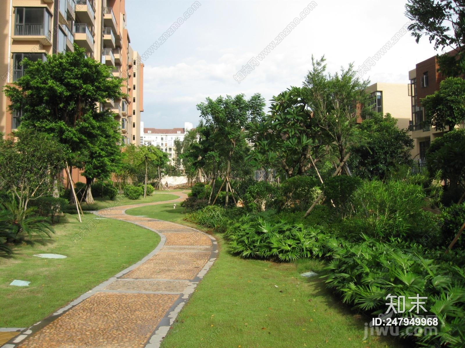 小区外景贴图贴图下载【id:247949968】_【知末网贴图库】