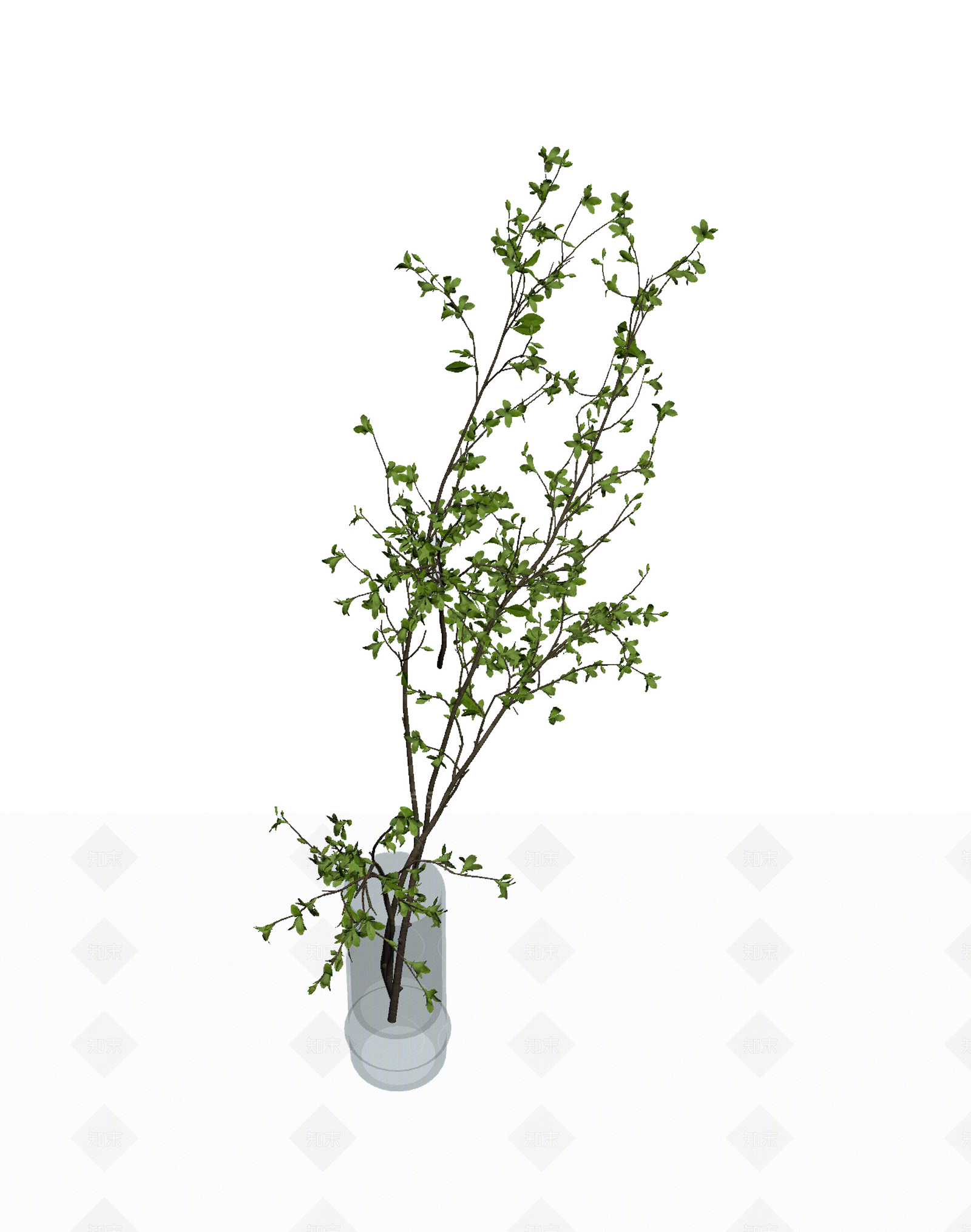 带盆枝叶装饰植物3D模型下载【ID:1206185495】