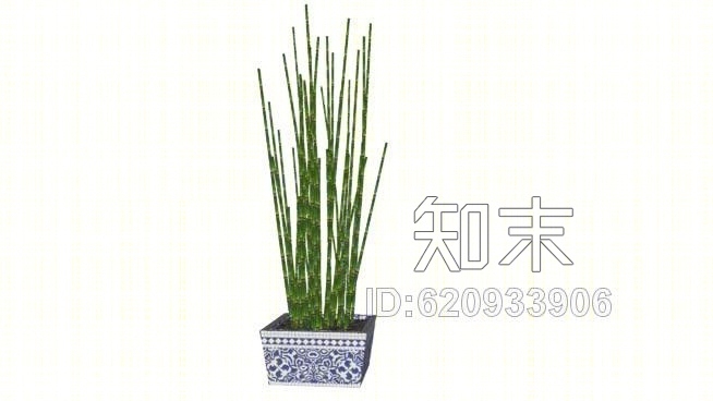 Bambu空气（木贼）SU模型下载【ID:620933906】