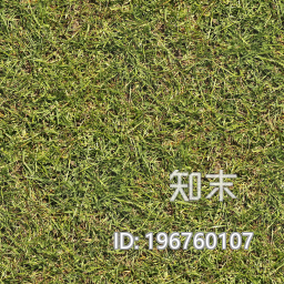 草坪下载【ID:196760107】