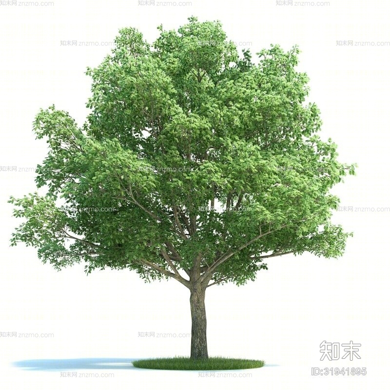 绿色景观树3D模型下载【ID:31941895】