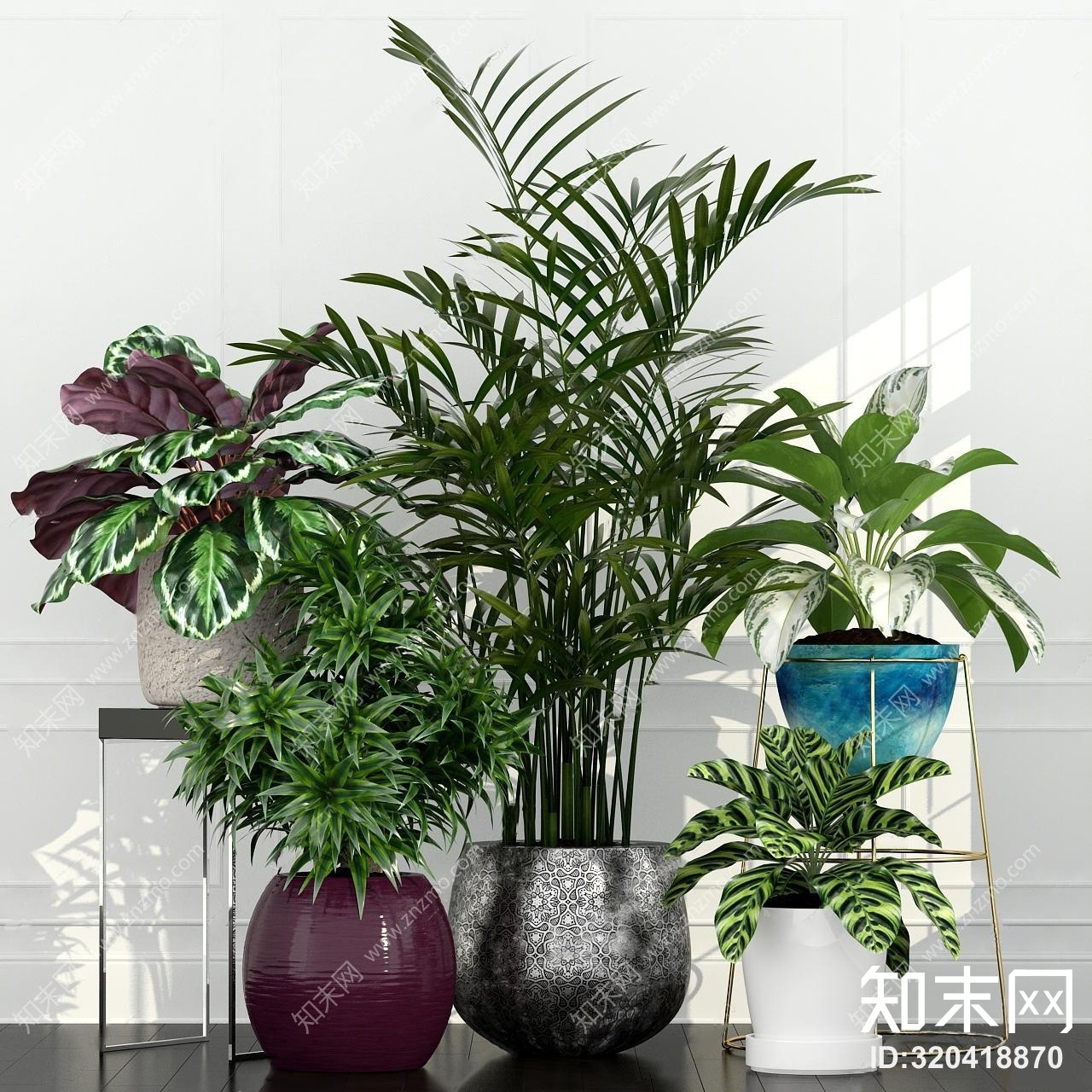 现代植物盆栽组合3D模型下载【ID:320418870】