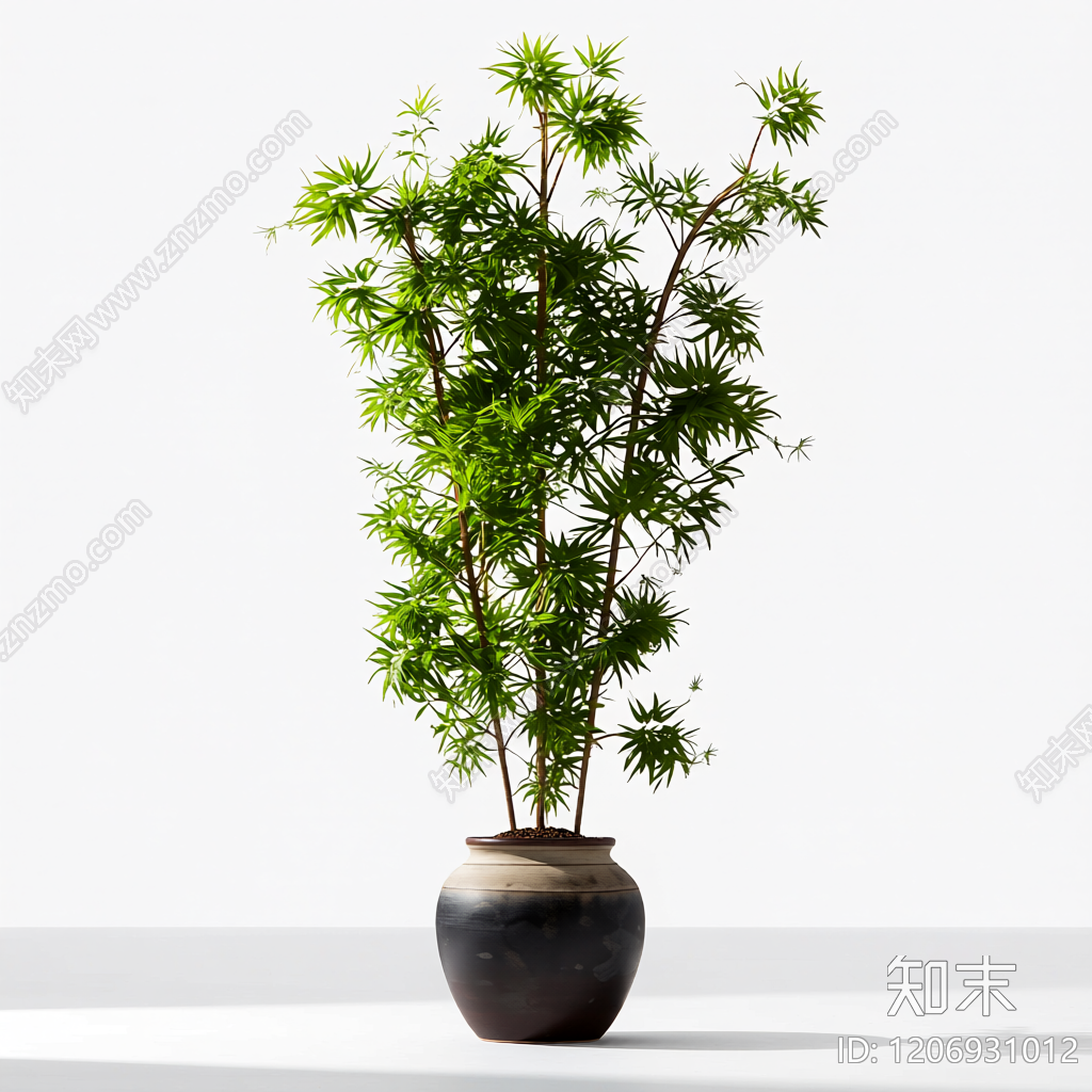 盆栽竹子装饰3D模型下载【ID:1206931012】
