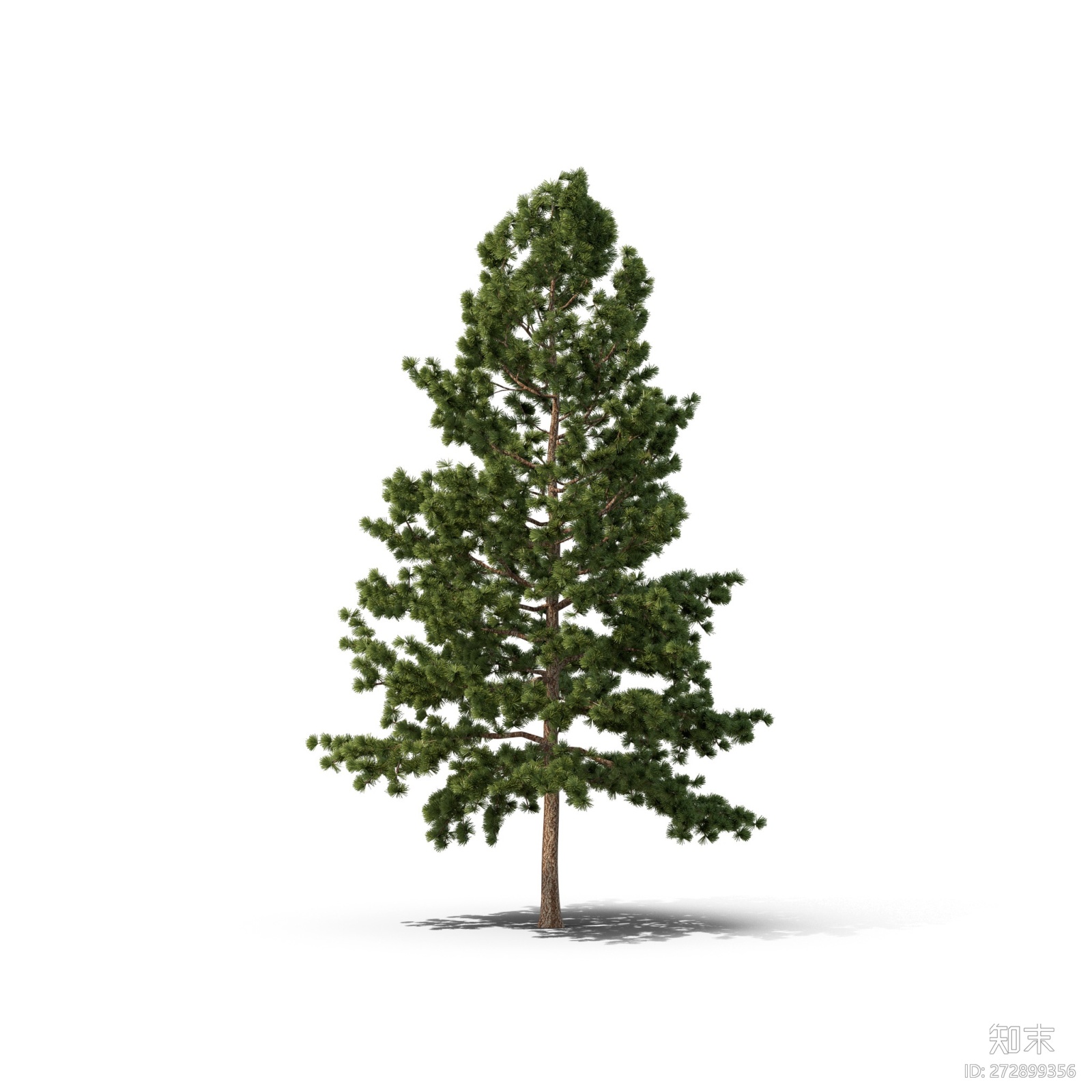 相似高清贴图水彩树木植物免抠png树木立面免扣图银杏乔木竹子雪松免