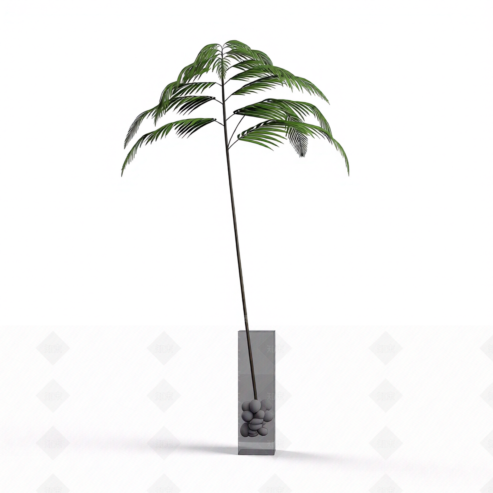 带盆绿植模型3D模型下载【ID:1206181667】