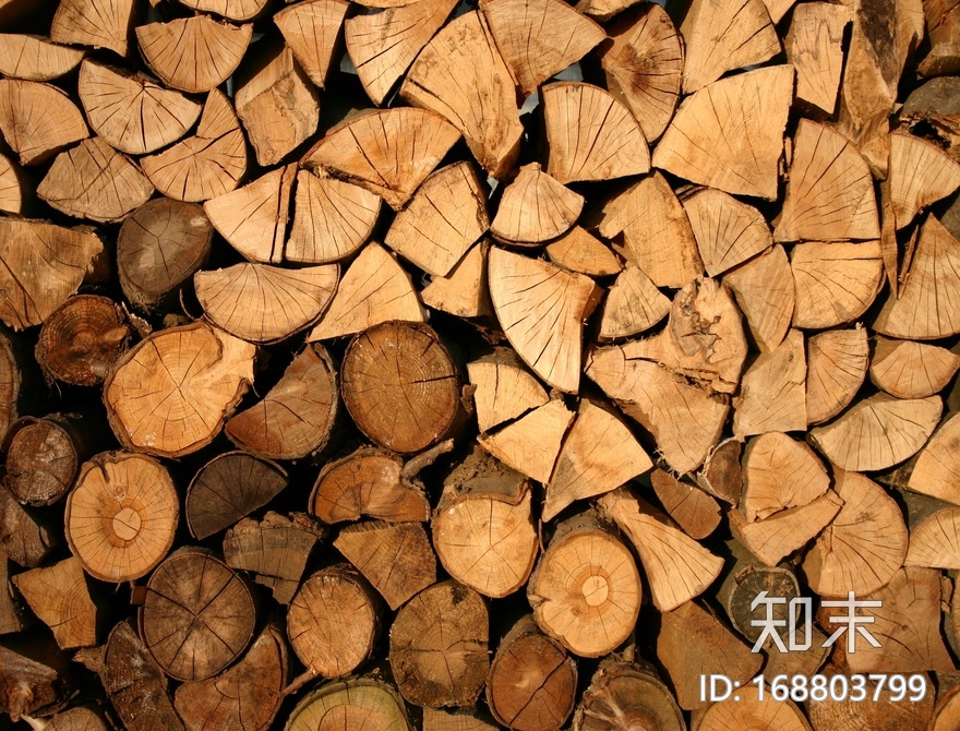 古色木贴图下载【ID:168803799】