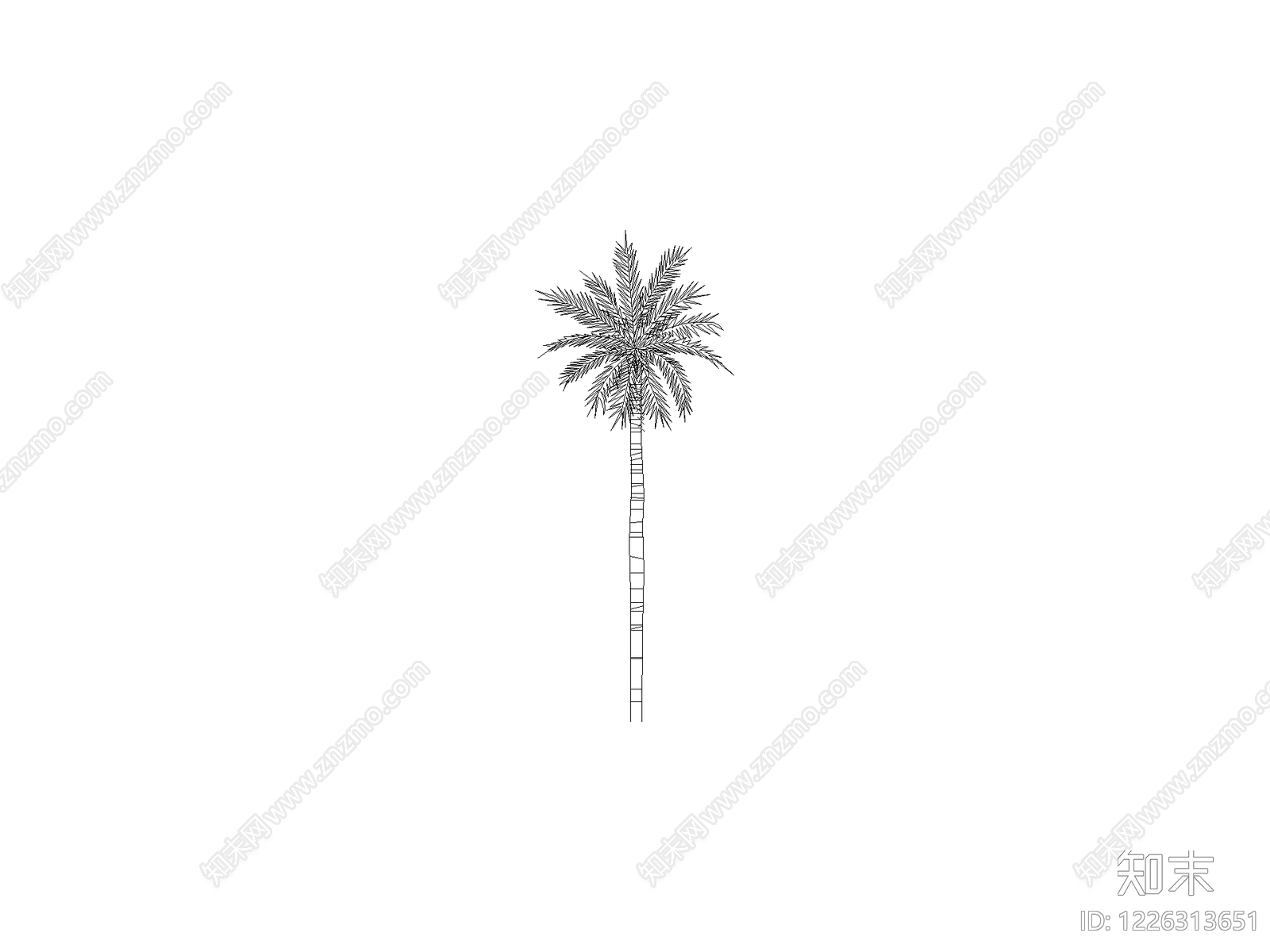 乔木种植cad施工图下载【ID:1226313651】