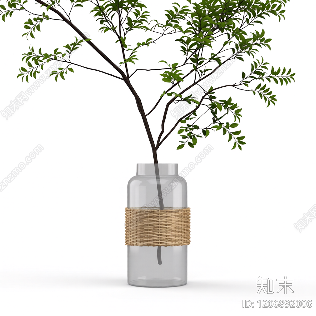 盆栽植物装饰3D模型下载【ID:1206892006】