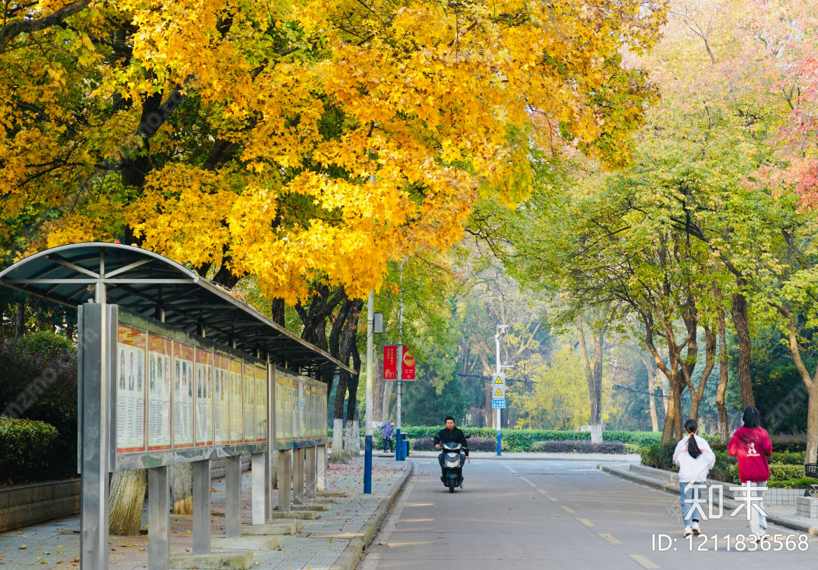 街道外景贴图下载【ID:1211836568】