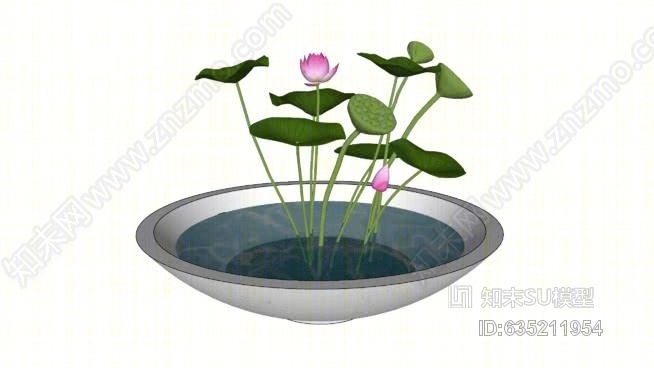 莲藕SU模型下载【ID:635211954】