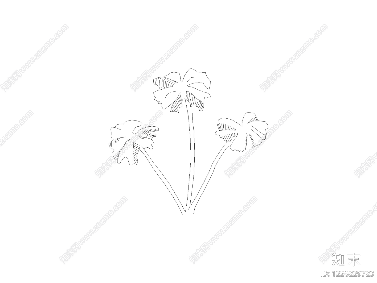 现代乔木种植CAD图纸