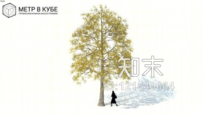 秋季低树3D树（044）SU模型下载【ID:121549664】