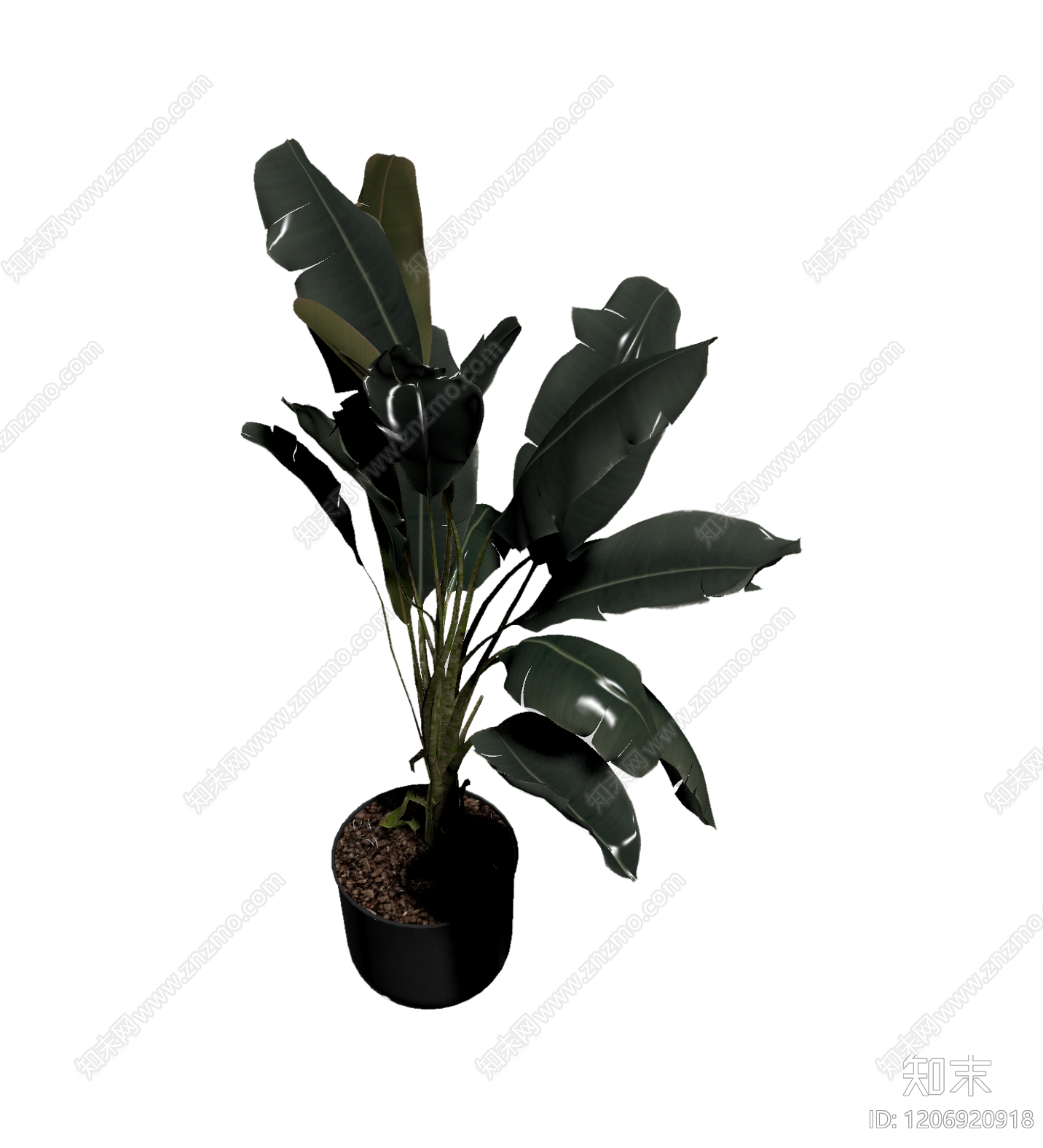 盆栽植物带花盆3D模型下载【ID:1206920918】