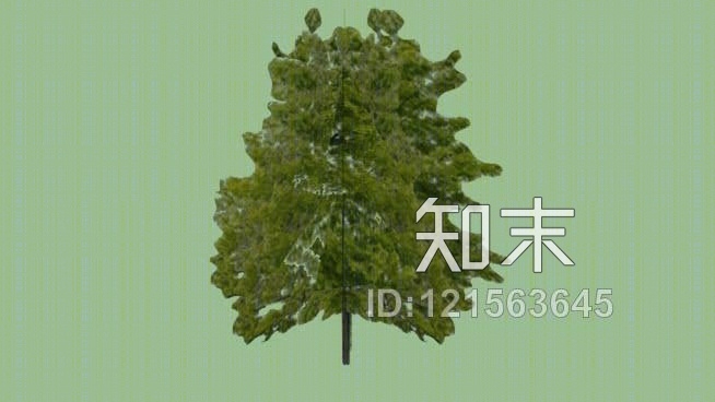 大树03SU模型下载【ID:121563645】