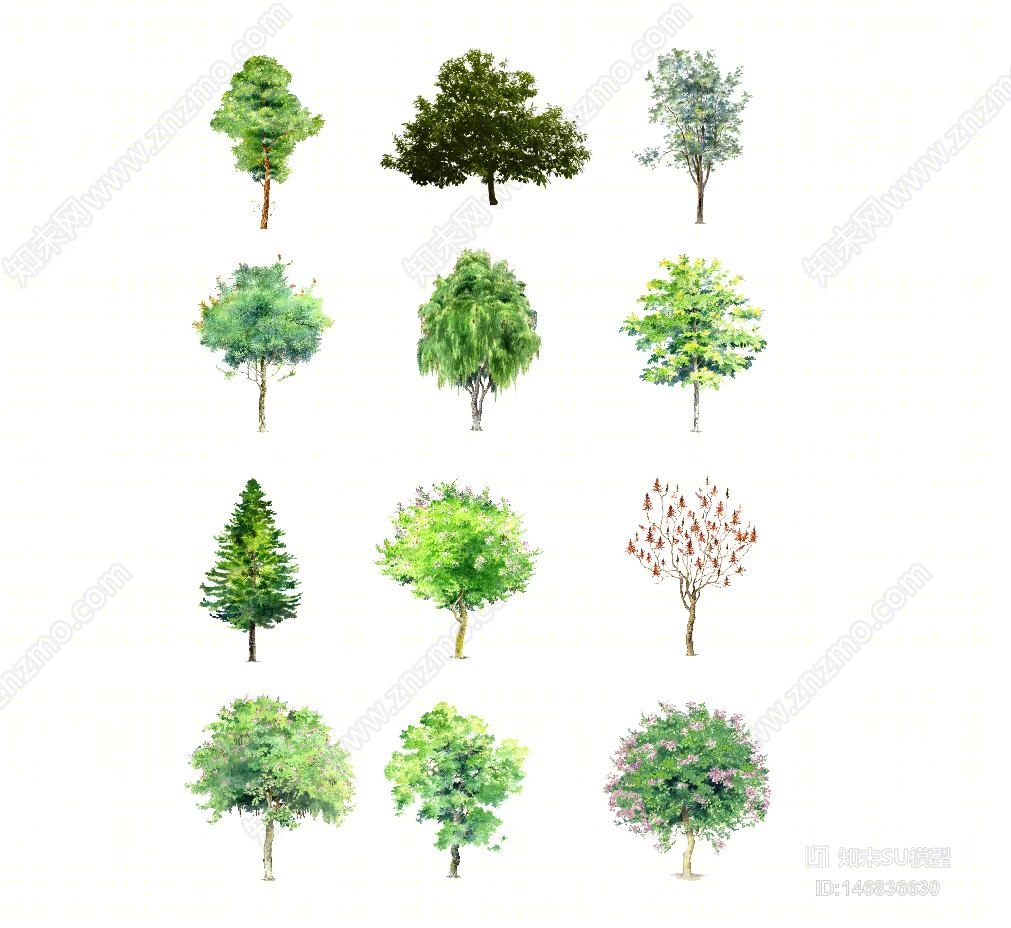树SU模型下载【ID:146836630】