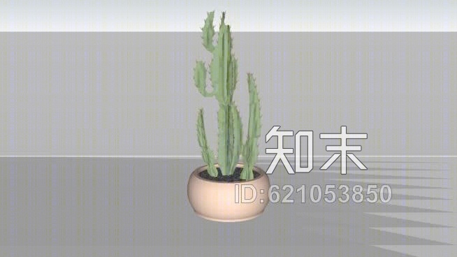 仙人掌SU模型下载【ID:621053850】