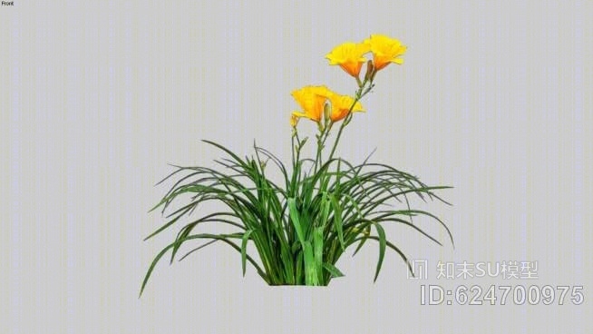 黄花菜cutout二维黄金星SU模型下载【ID:624700975】