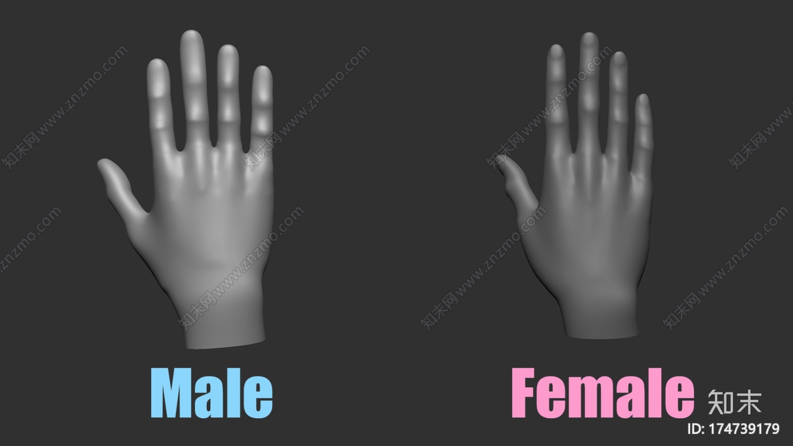 插入手刷ZbrushCG模型下载【ID:174739179】