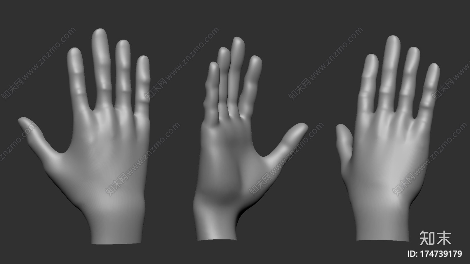 插入手刷ZbrushCG模型下载【ID:174739179】