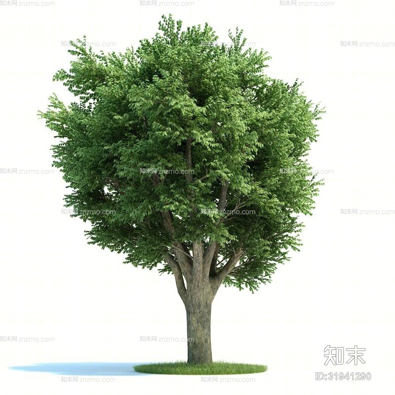 绿色景观树3D模型下载【ID:31941290】