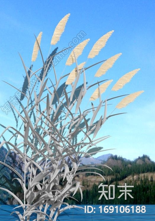 一组芦苇模型CG模型下载【ID:169106188】