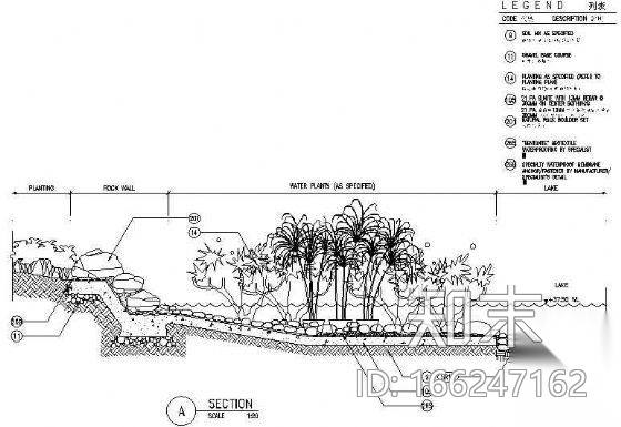 水生植物种植详图施工图下载【ID:166247162】