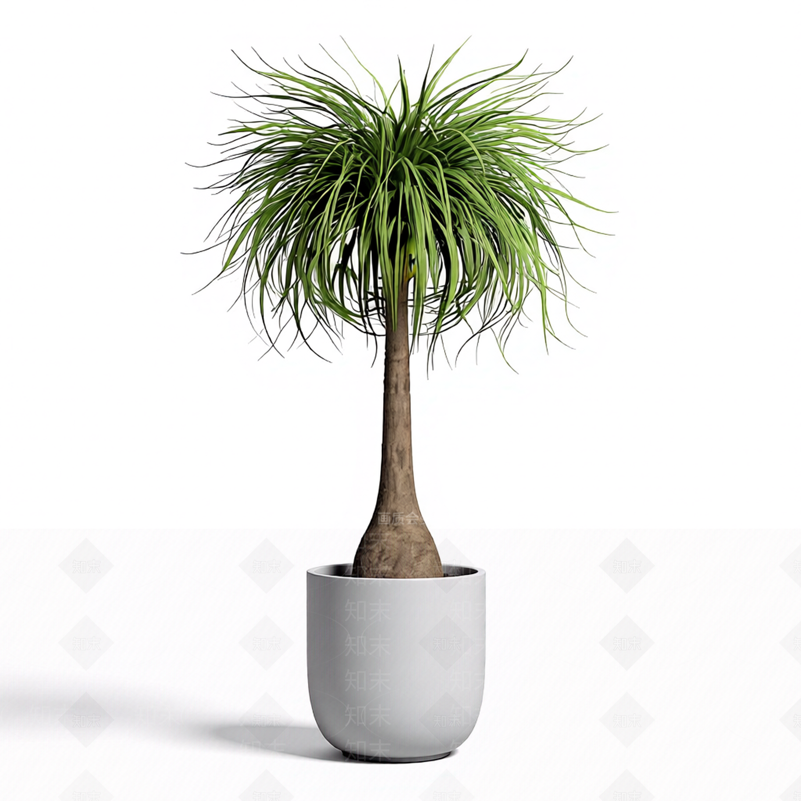 带盆绿植盆栽3D模型下载【ID:1206184112】