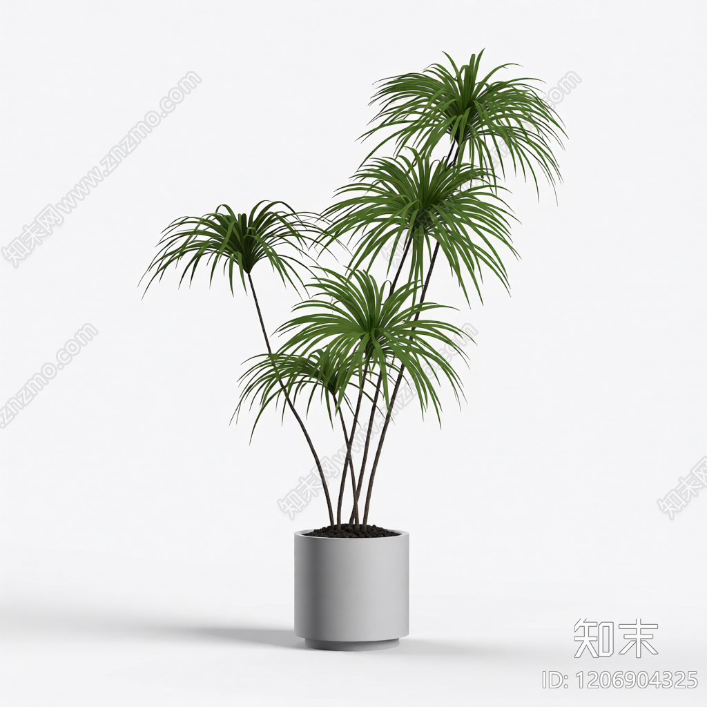 盆栽植物组合3D模型下载【ID:1206904325】