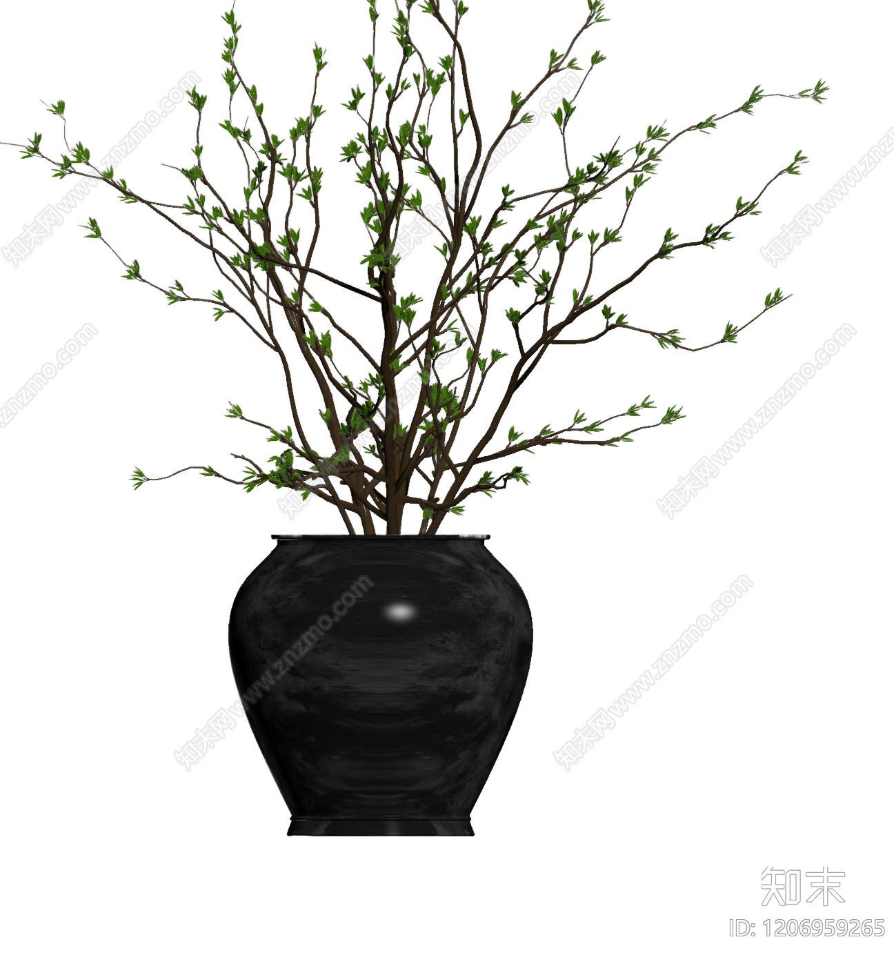 盆栽植物装饰3D模型下载【ID:1206959265】
