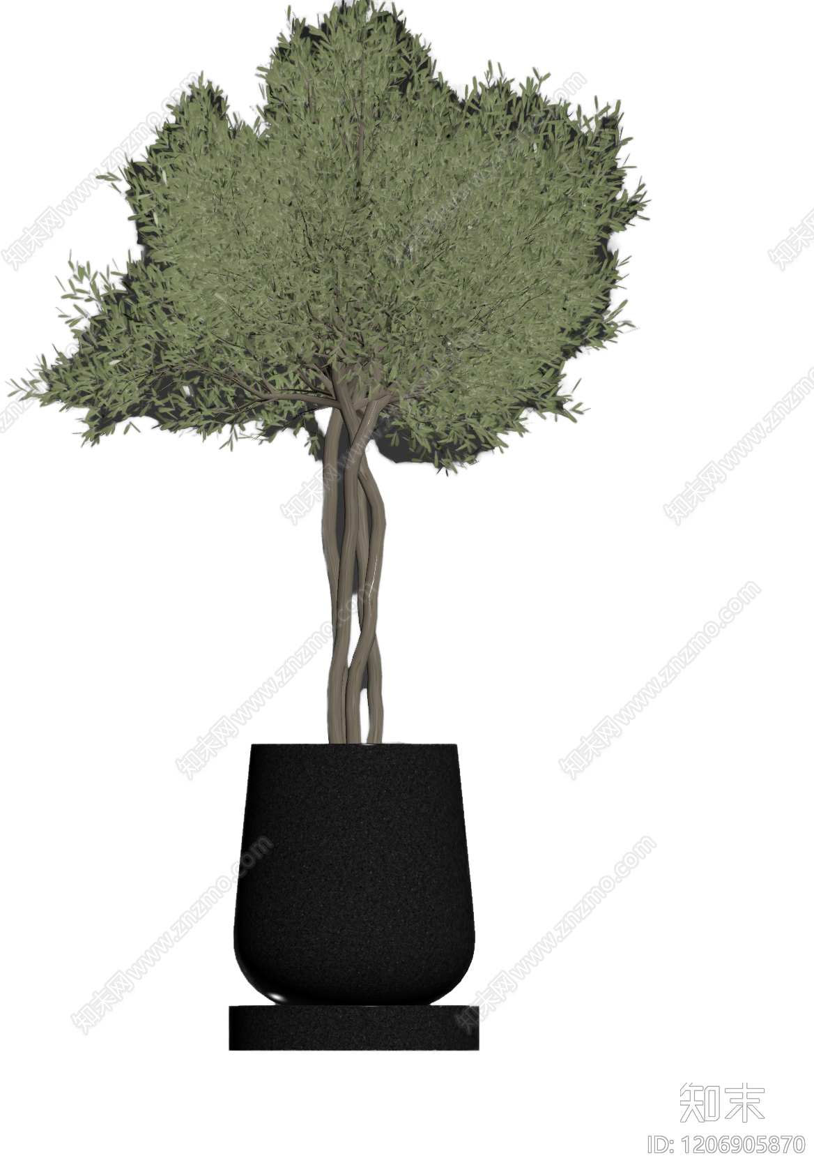 盆栽植物装饰3D模型下载【ID:1206905870】