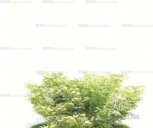 景观树103D模型下载【ID:32511795】