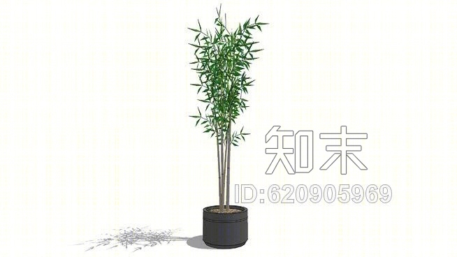 盆栽竹SU模型下载【ID:620905969】