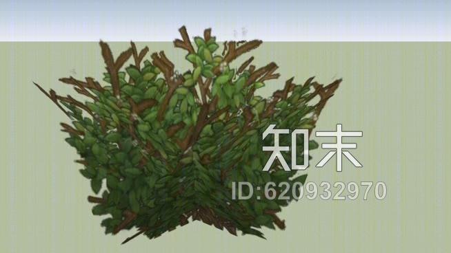 灌木SU模型下载【ID:620932970】