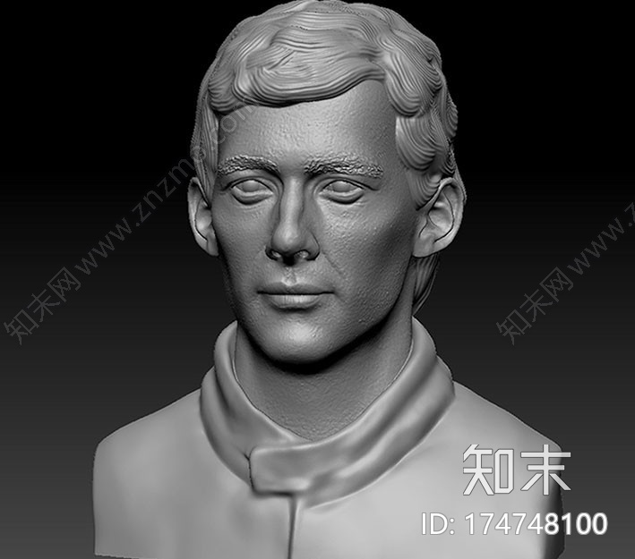 艾尔顿·塞纳3d打印模型下载【ID:174748100】