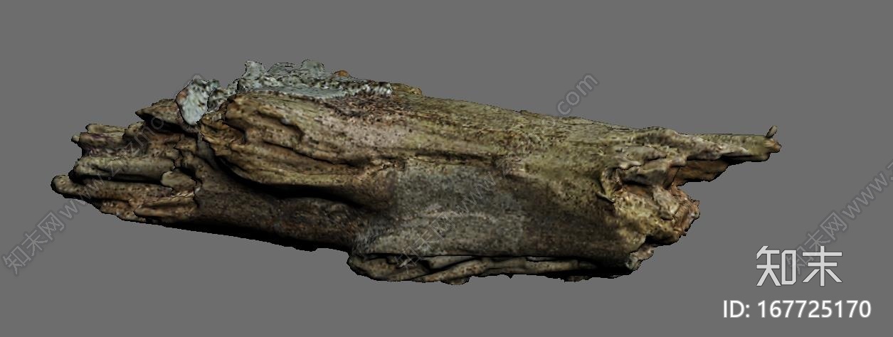 高精度植物，树木，森林，3D高模CG模型下载【ID:167725170】