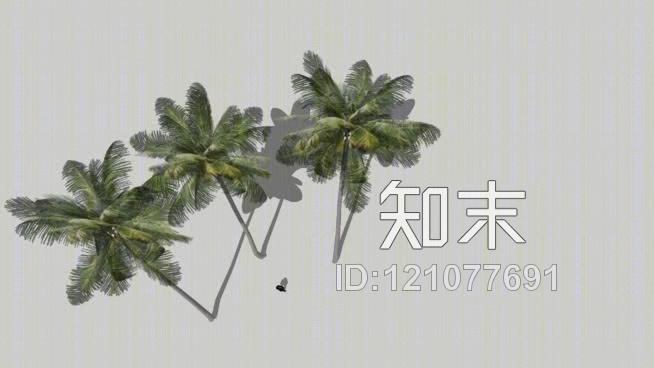 椰子树SU模型下载【ID:121077691】