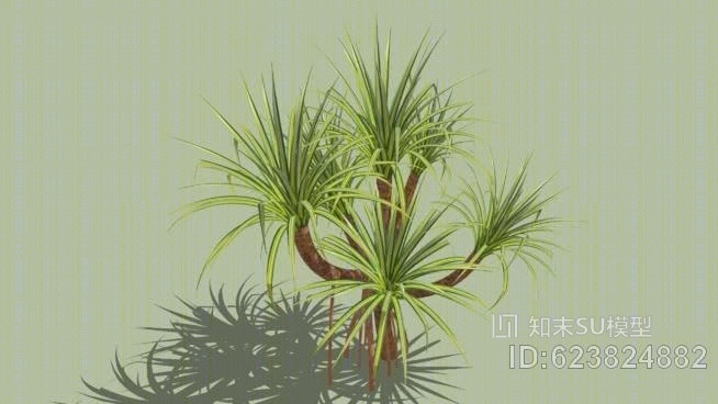 三维斑状潘朵斯SU模型下载【ID:623824882】