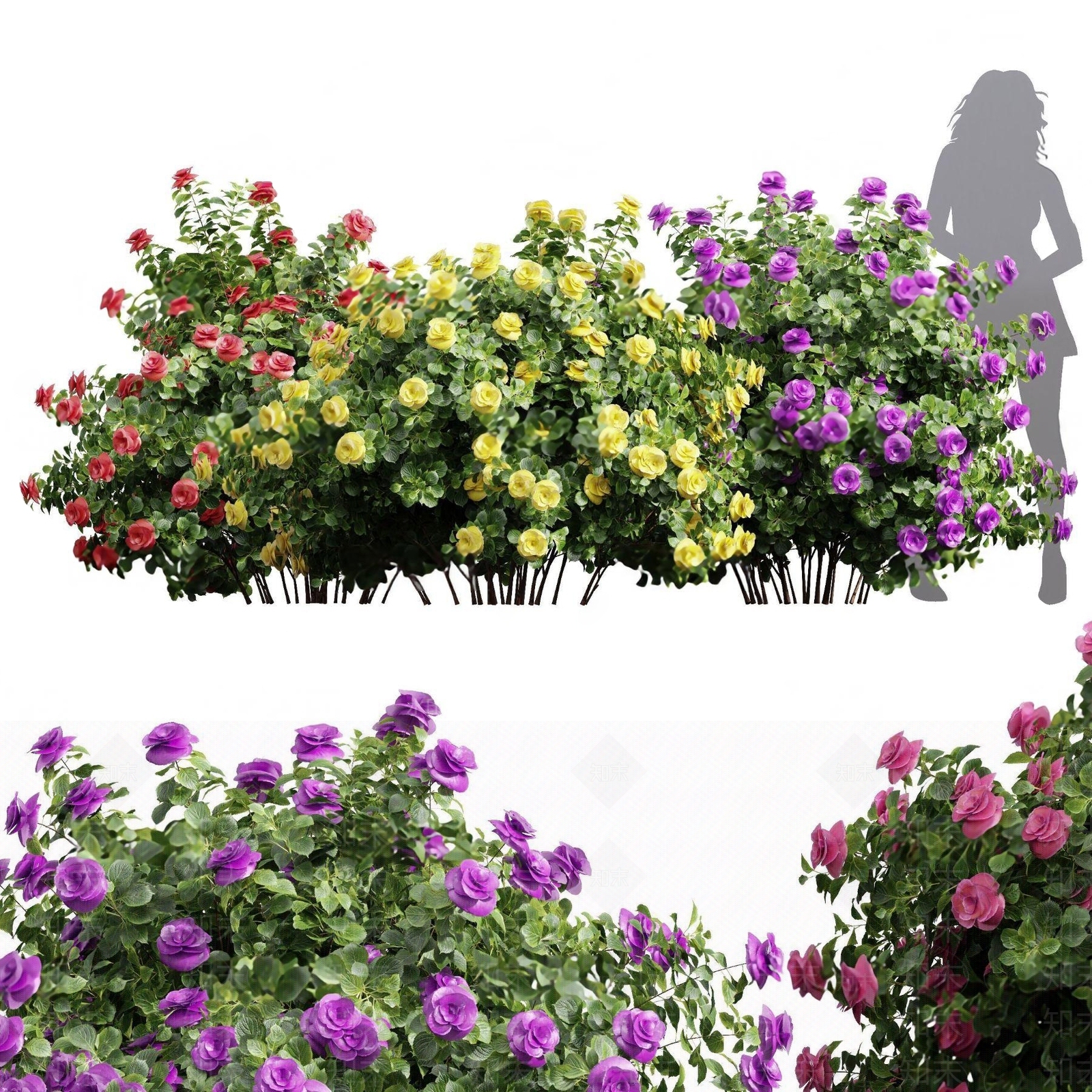 灌木3D模型下载【ID:1127186840】