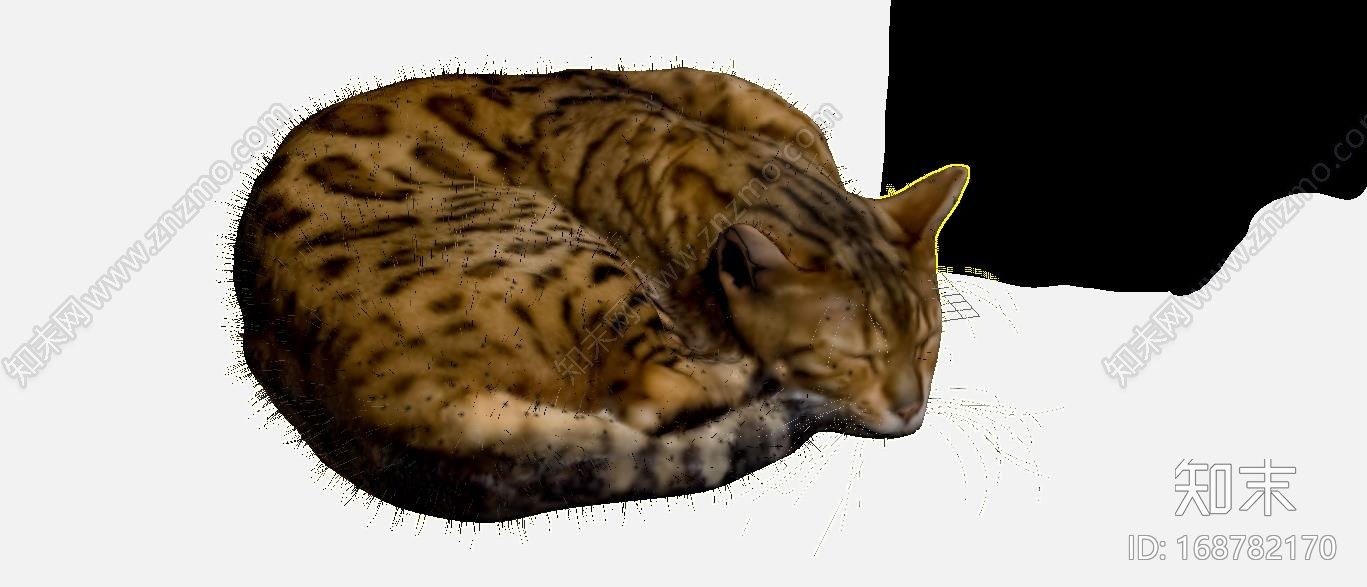睡觉的猫3d模型CG模型下载【ID:168782170】