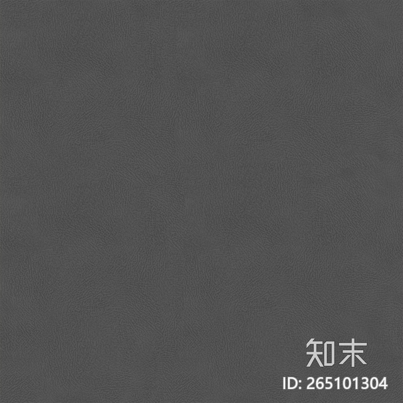 皮肤贴图下载【ID:265101304】