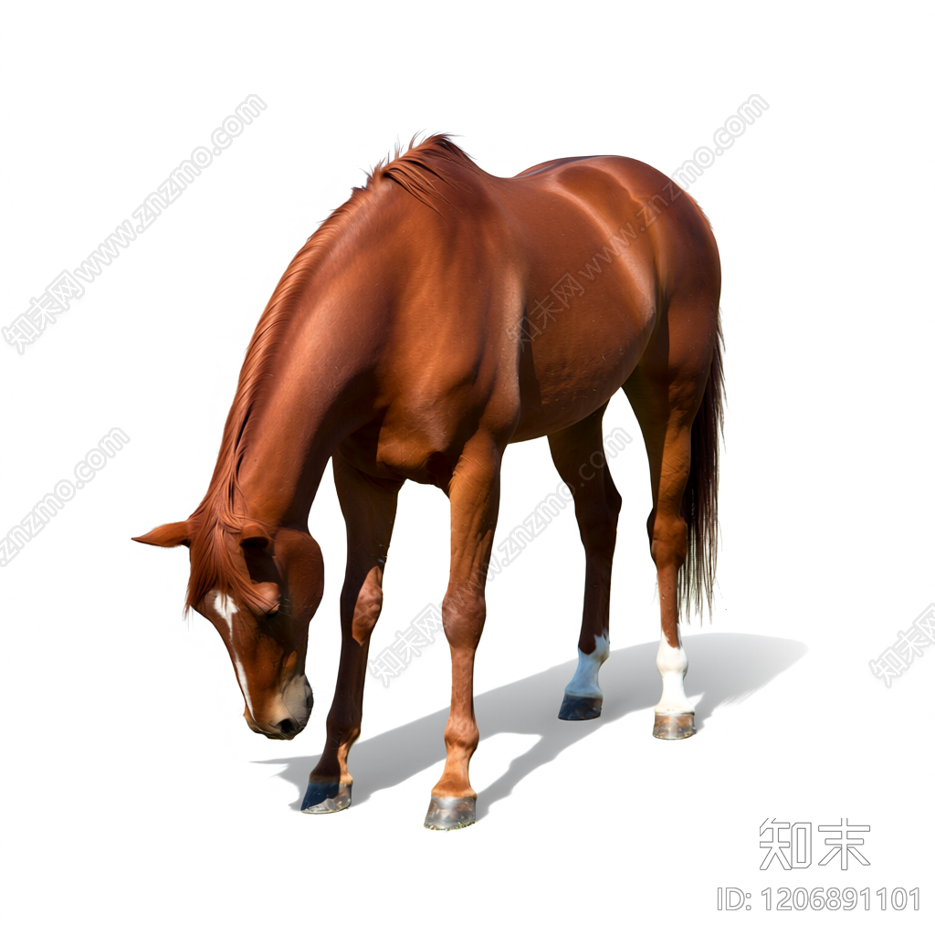 棕色马雕塑3D模型下载【ID:1206891101】