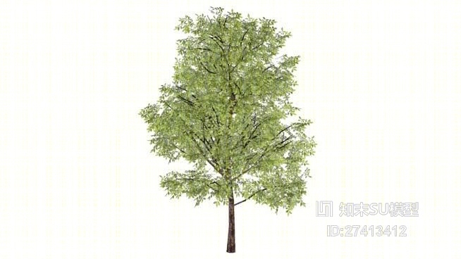 树SU模型下载【ID:117950604】